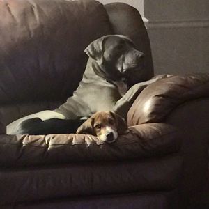 Meet your Posher, Greg